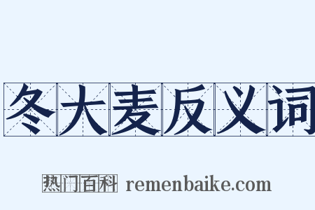 冬大麦反义词是什么意思的图片